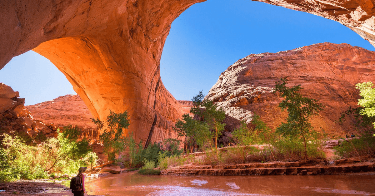 Epic National Parks Road Trip: Hitting All the Highlights from Coast to Coast.